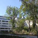 IMG_6377.JPG