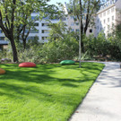 IMG_6381.JPG