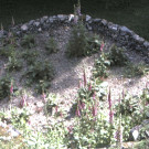 Livecam Lasberg
