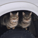DSC03545.JPG