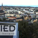 ried.jpg