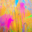 BK_Graffiti_Planet_Tag2 11_jpg-1347050438