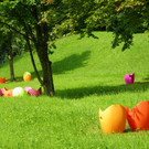    Park für den Lesegenuss