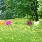 114_6684_JPG-1347099074