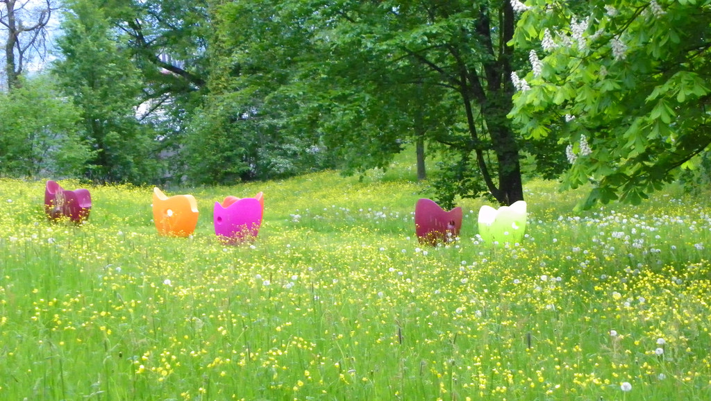 114_6684_JPG-1347099074