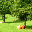 115_4962_JPG-1347099159