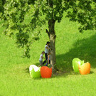 115_4978_JPG-1347099179