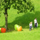 115_4980_JPG-1347099186