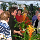 koe_SB-BesuchG__rtnereiKopf54.jpg