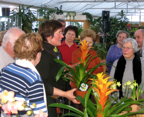 koe_SB-BesuchG__rtnereiKopf54.jpg