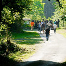 IBD0352-20120908.jpg