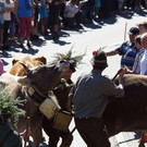 Alpabtrieb Schwarzenberg 12.jpg