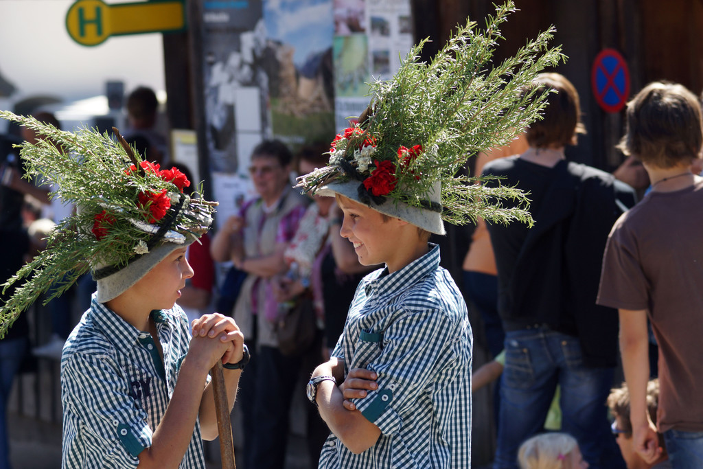 Alpabtrieb Schwarzenberg 8.jpg