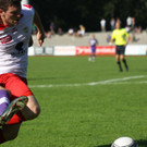 Dornb_ -A_ Salzb_  2012 095.jpg