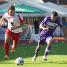 Dornb_ -A_ Salzb_  2012 181.jpg