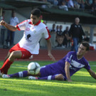 Dornb_ -A_ Salzb_  2012 205.jpg