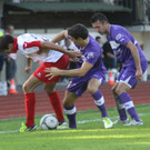 Dornb_ -A_ Salzb_  2012 270.jpg