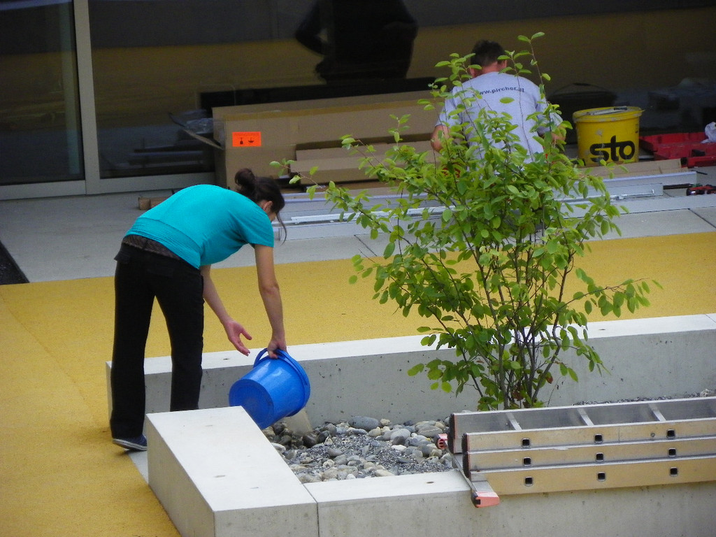 116_0397_JPG-1347174650