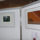 VC B__ume  2012 028.jpg