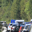 normal_08092012staude01001aktivnews_30.jpg