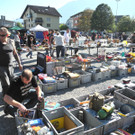 DSCN9130_JPG-1347195447