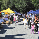 DSCN9147_JPG-1347195820