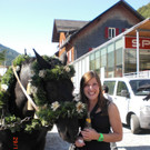 Alpabtrieb in Mellau