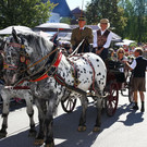 normal_09092012fmt_pferdekutschengala_ta_014.JPG
