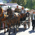 normal_09092012fmt_pferdekutschengala_ta_026.JPG