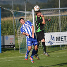 IMG_0247aa.jpg