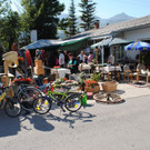 DSC_1706.JPG
