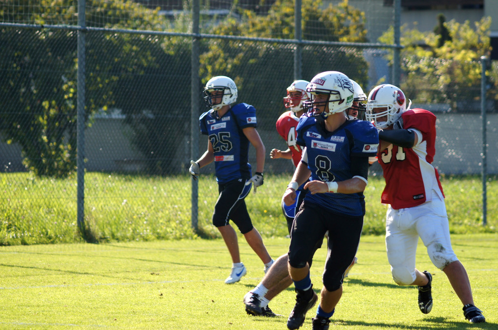 DSC06253_JPG-1347217711