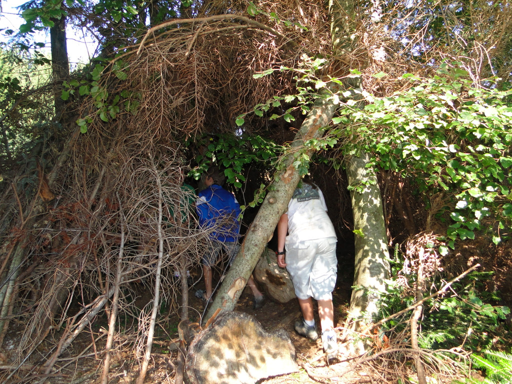 DSC05906_JPG-1347221889