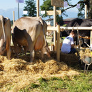 03_JPG-1347220419