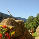 DSC_4080.jpg