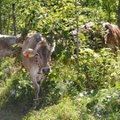 DSC_3842.jpg