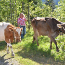 DSC_3848.jpg