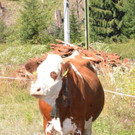 DSC_3849.jpg