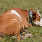 DSC_3926.jpg