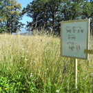 DSCN9224_JPG-1347251762