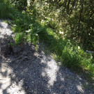 o10020712.JPG
