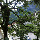 geh__lz 3_jpg-1347260466