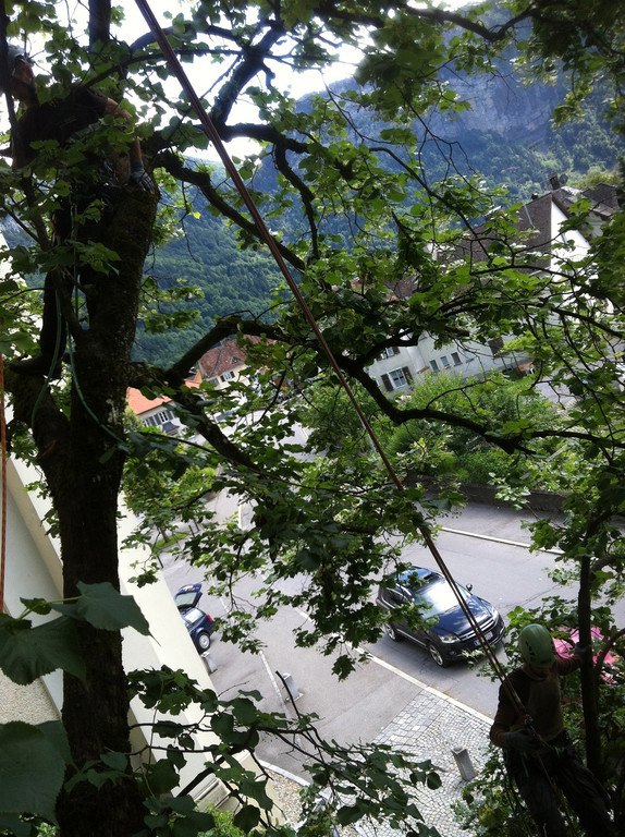 geh__lz 3_jpg-1347260466