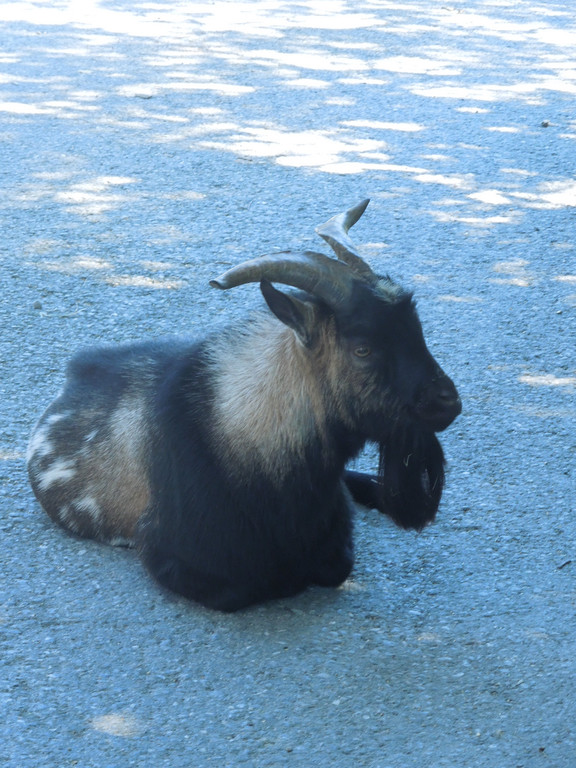 M__ggers 011.JPG