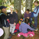 Im Wald_jpg-1347271866