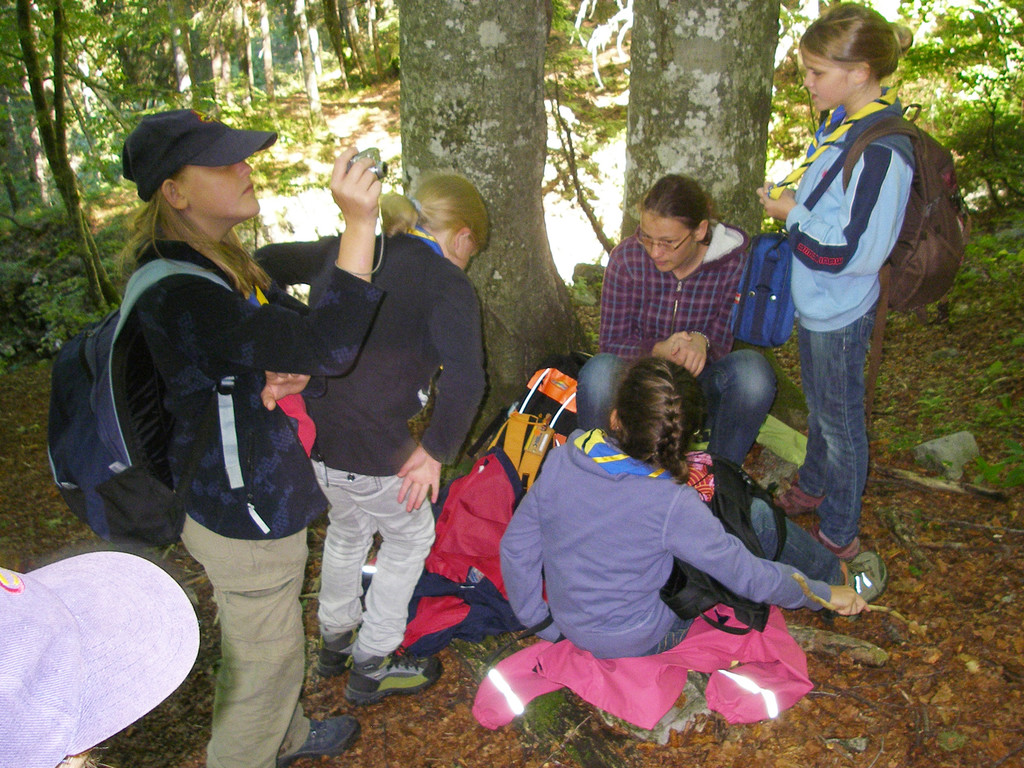 Im Wald_jpg-1347271866