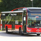 normal_10092012fmt_albushybrid_ta_001.JPG