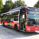 normal_10092012fmt_albushybrid_ta_003.JPG