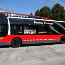 normal_10092012fmt_albushybrid_ta_004.JPG