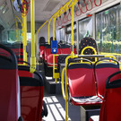 normal_10092012fmt_albushybrid_ta_005.JPG
